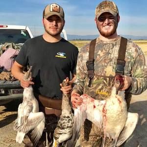 Meet your Posher, Bradley